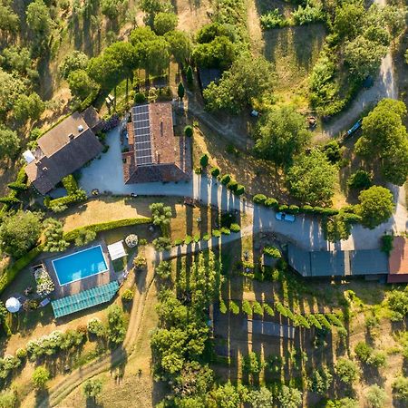 Residenza Cerreto-Casalini Lejlighed Panicale Eksteriør billede